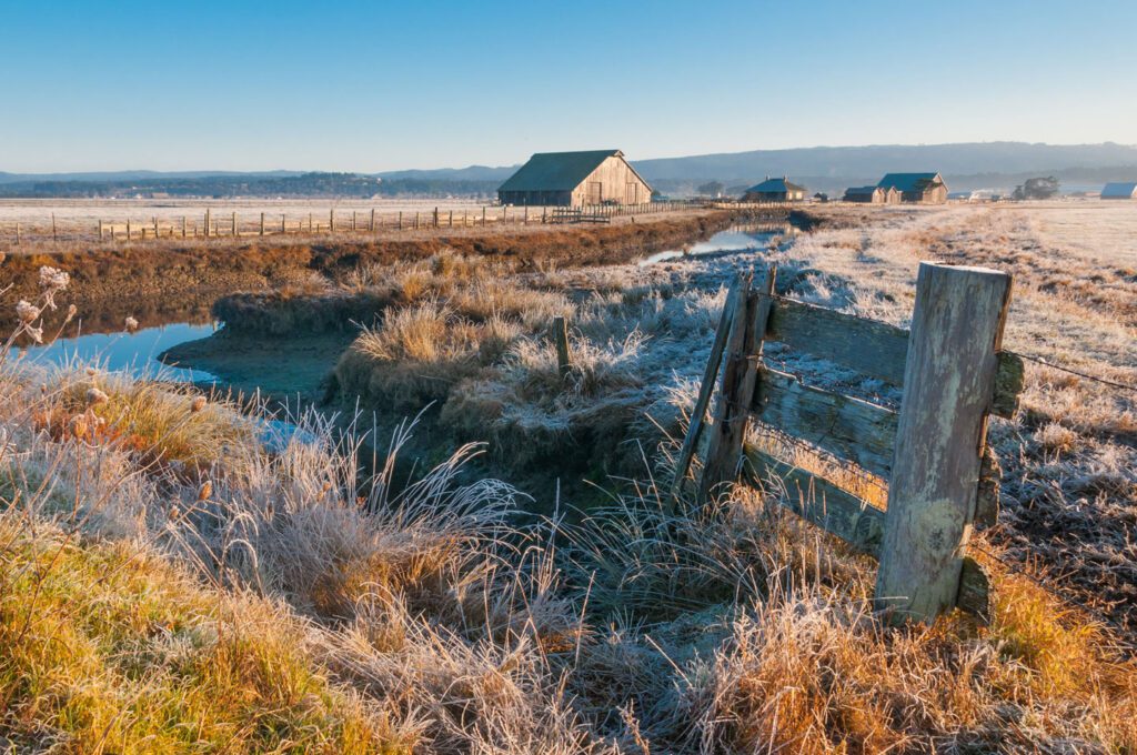 2025-1126-Year-End-Giving-Hero Landscape photo featuring a barn in a frosting field.