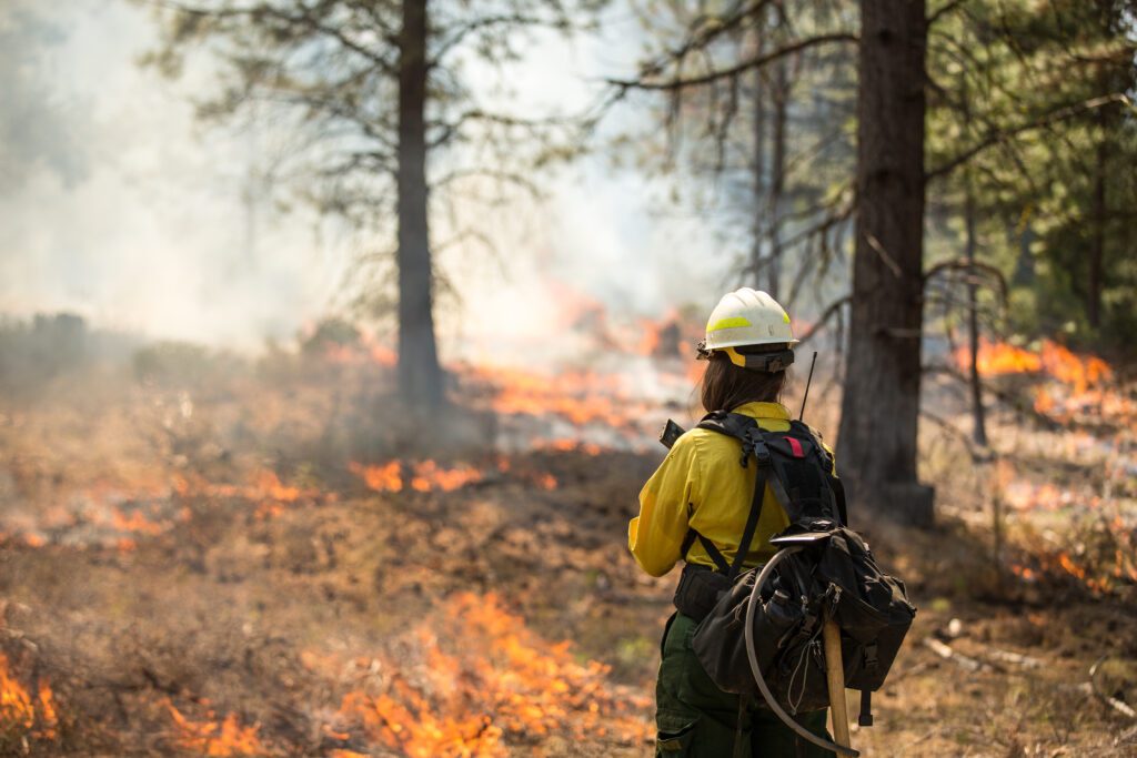A firefighter stands amid a wildfire.