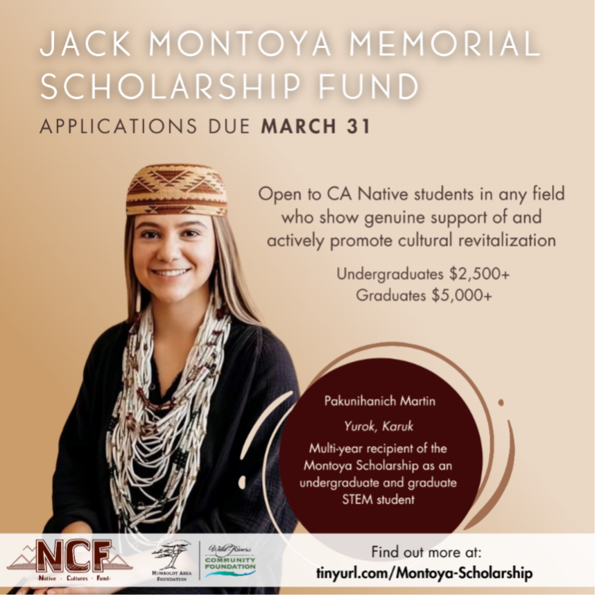28-30b_Montoya Scholarship Flyer A flyer for the Montoya Scholarship featuring a picture of a woman in traditional Tribal regalia.