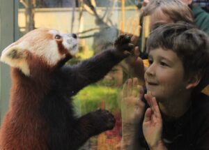Sequoia Park Zoo Forever Fund