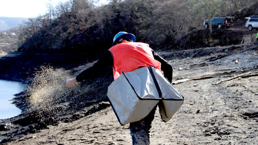 A worker broadcasts seed as part of river restoration efforts.