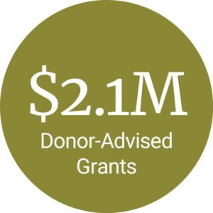 Donor-Advised-Bubble