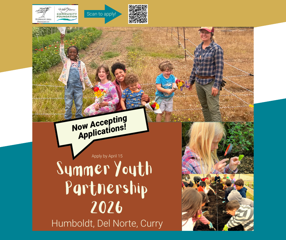 A graphic collage of photos of summer camp participants. Visit hafoundation.org/grants to learn more about applying for funding from the Summer Youth Partnership.